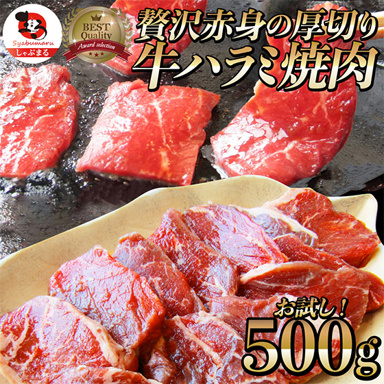 【焼肉用】牛ハラミ　500g